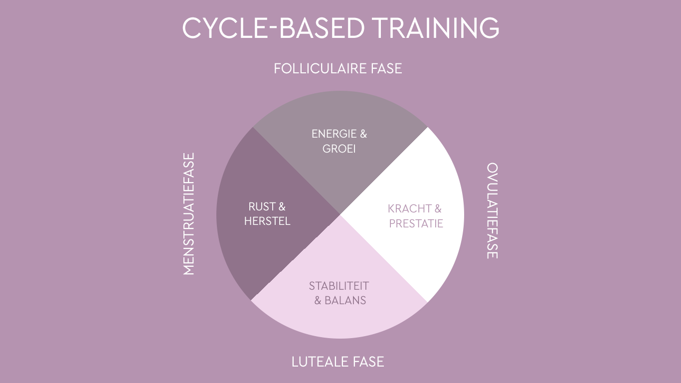 Illustratie: De vrouwelijke cyclus kan worden onderverdeeld in vier fasen: de folliculaire fase, de ovulatiefase, de luteale fase en de menstruatiefase